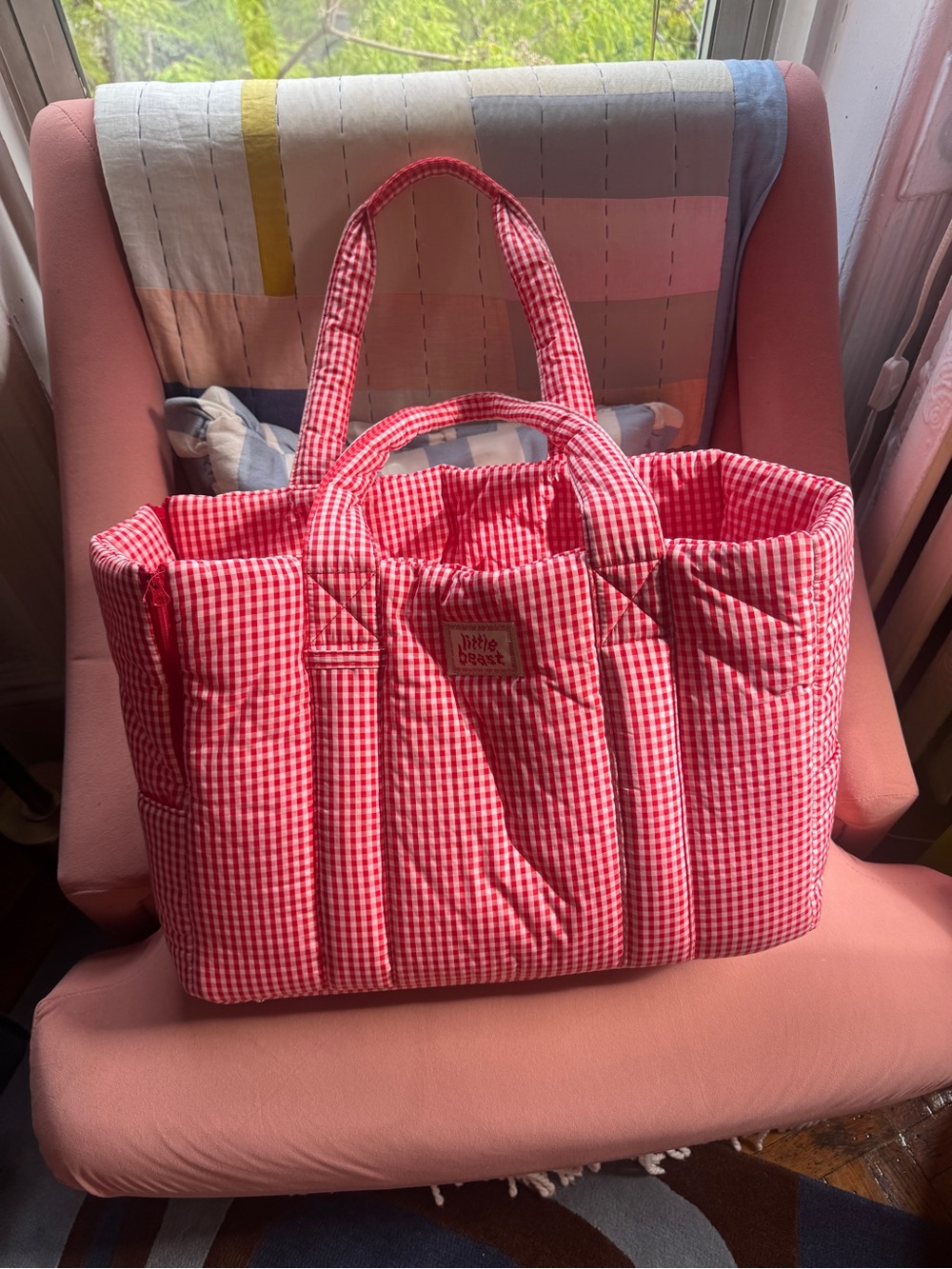 Little beast dog carrier strawberry gingham